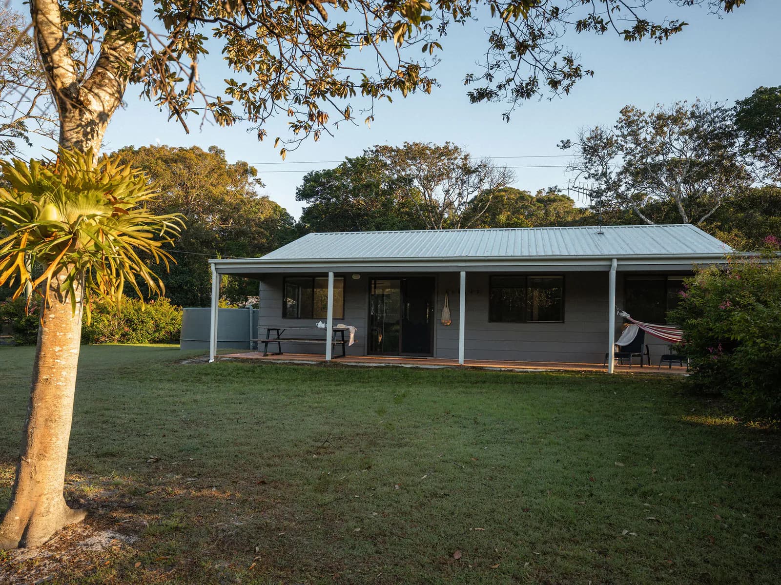 A Big Hill Beach cottage on the rolling lawns, framed by a grass tree
